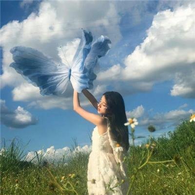 霸王贵妃